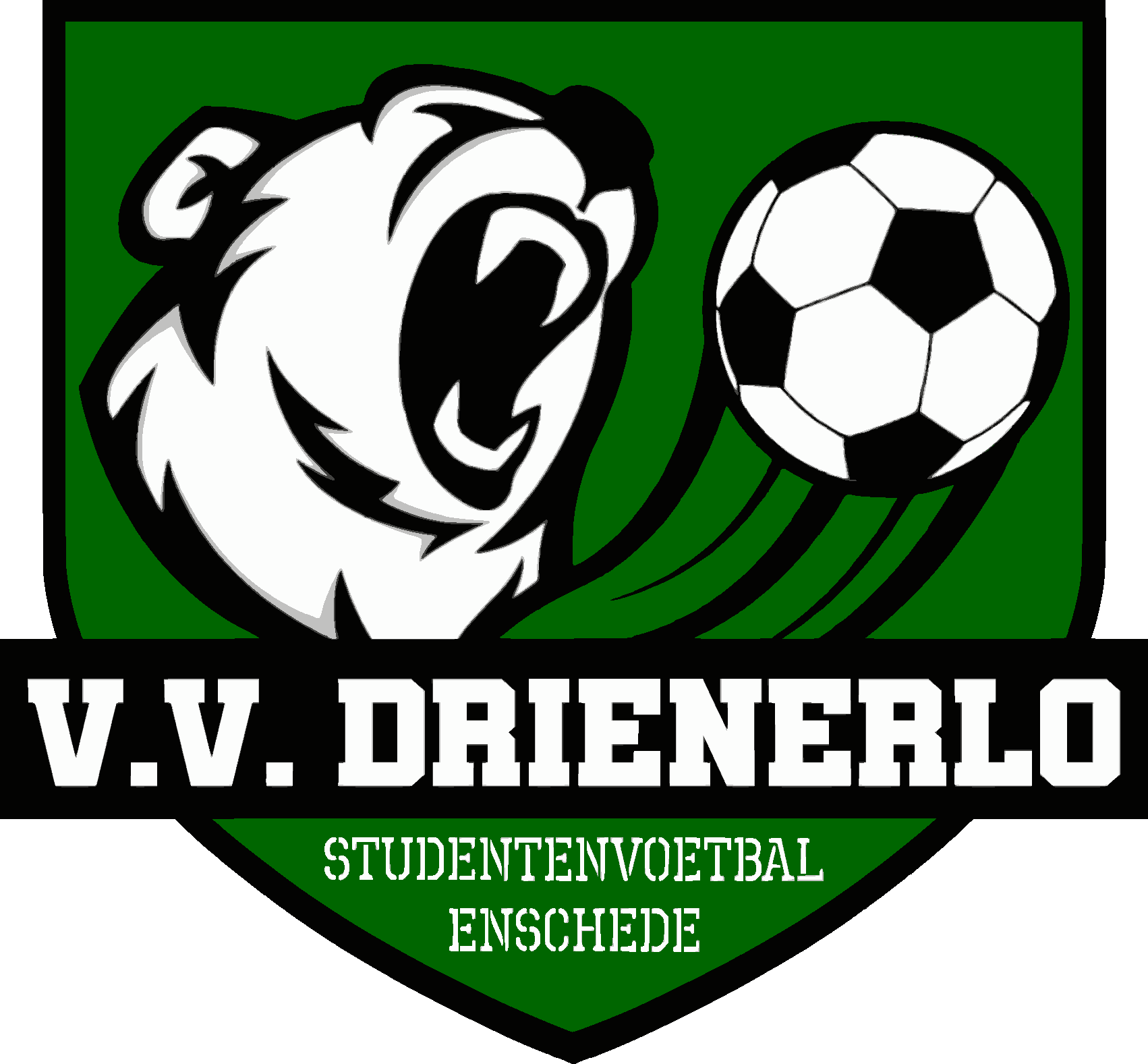 logo vv drienerlo